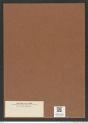 Diatomeae indet. Zeichnungen Sammlung Grunow Mappe 03695 (Herbarium_W_Grunow_drawings_Folder_03695)